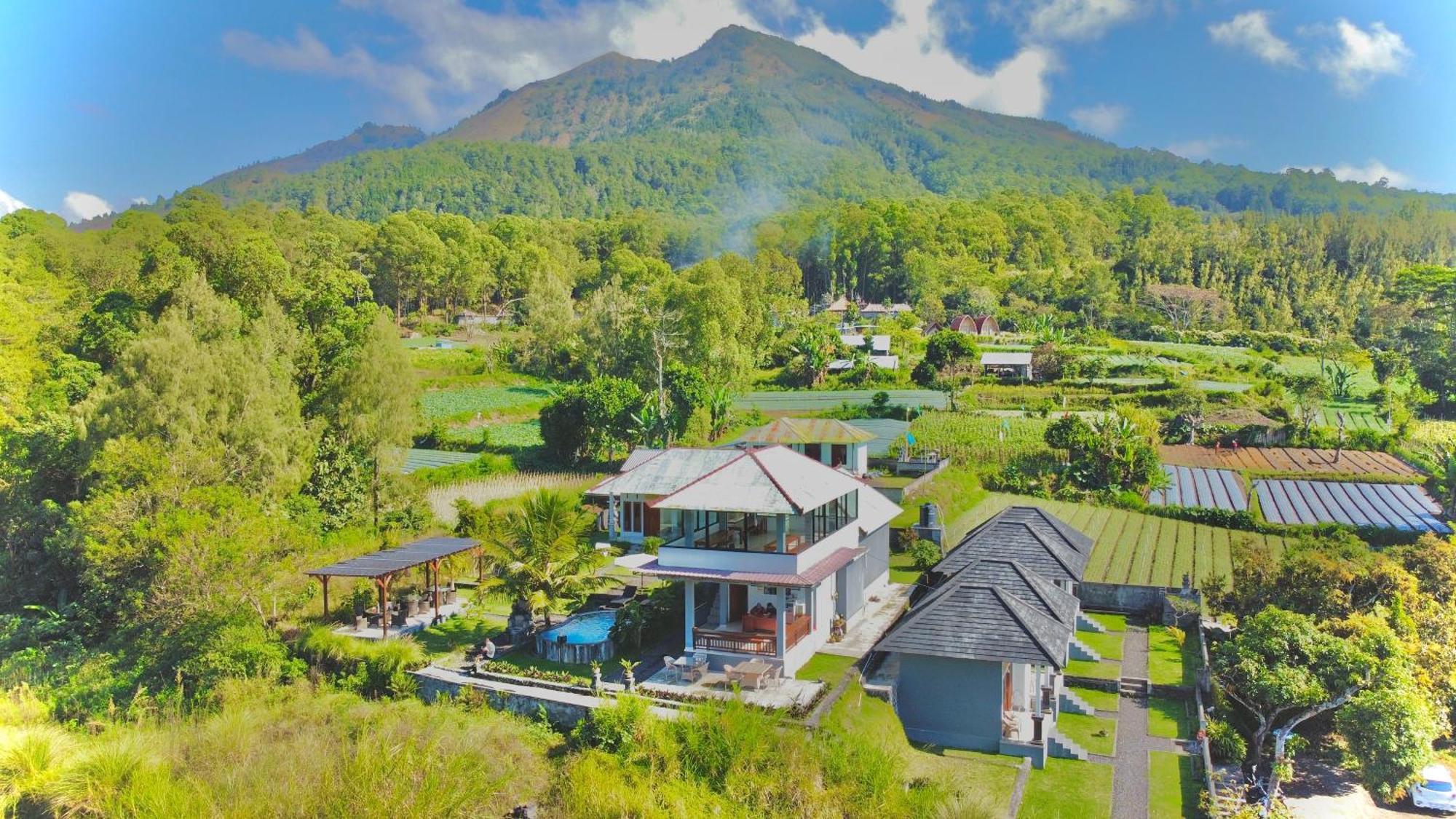 Batur Volcano Guesthouse Kintamani Eksteriør billede